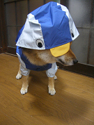 IMGP75320001.jpg