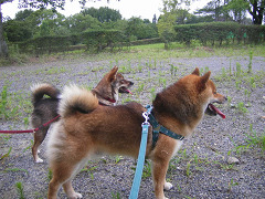 IMGP75450001.jpg
