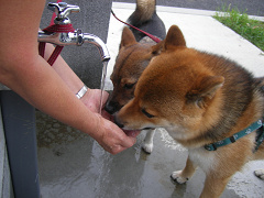 IMGP75500001.jpg