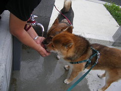 IMGP75520002.jpg