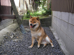 IMGP75810001.jpg