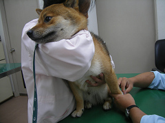IMGP75890002.jpg