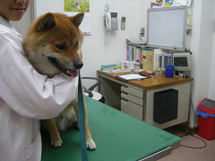 IMGP75900003.jpg
