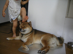 IMGP76590001.jpg
