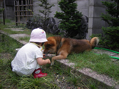 IMGP76870001.jpg