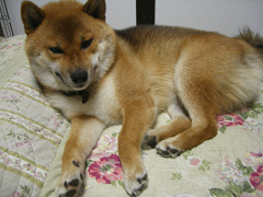 IMGP77840001.jpg