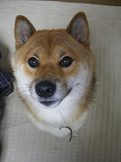 IMGP77880003.jpg