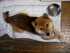 UNI_00030001.jpg